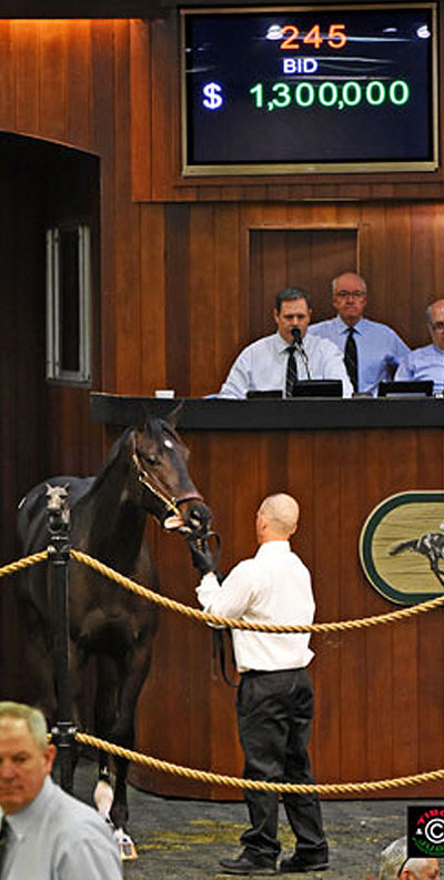 Cary Frommer - $1,300,000 Uncle Mo colt